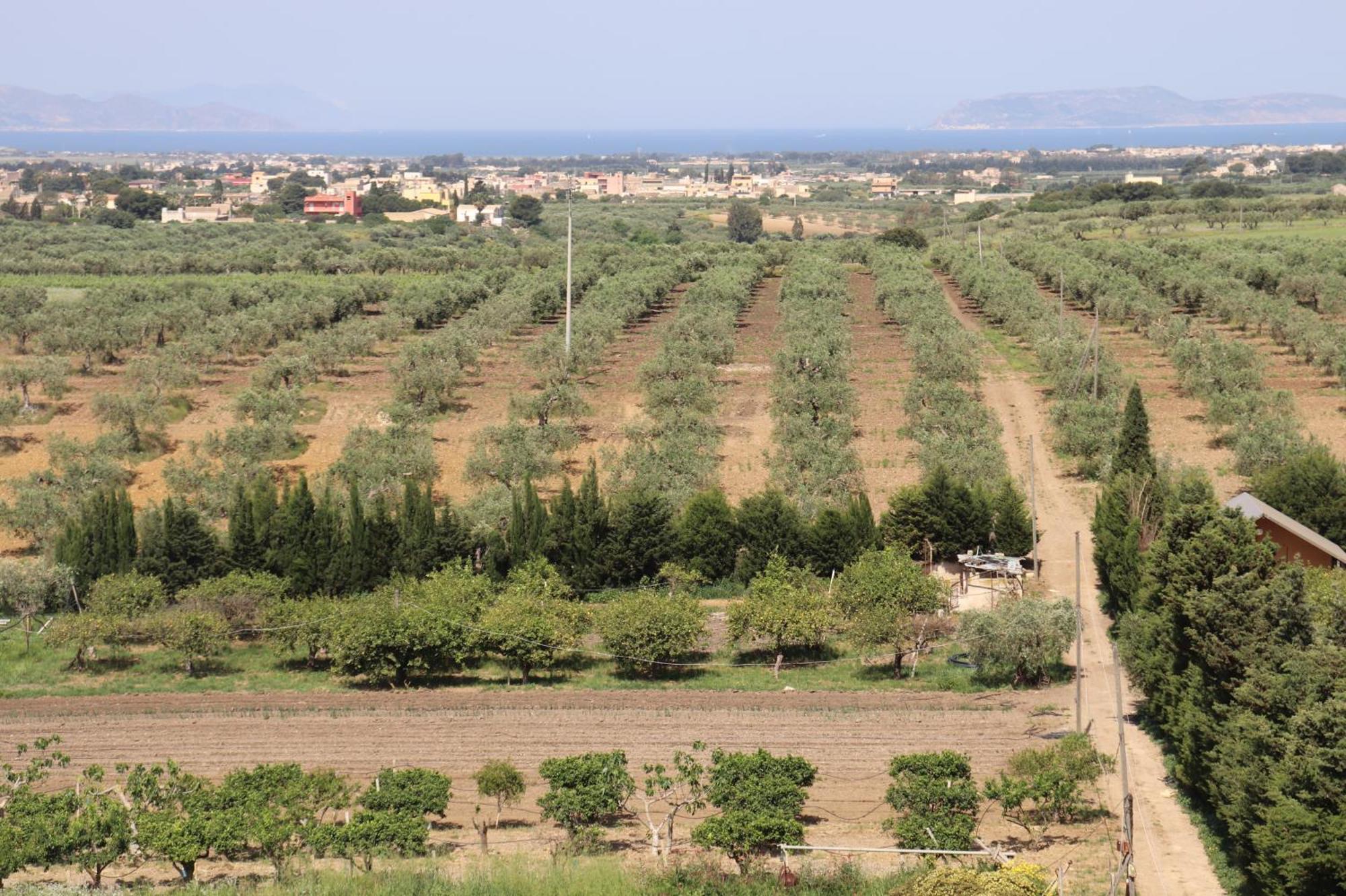 Agriturismo Vultaggio *